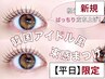 【平日来店限定】韓国アイドル風まつげパーマ《束感仕上げ》¥5,000→¥4,200