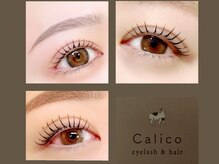 キャリコ(Calico)