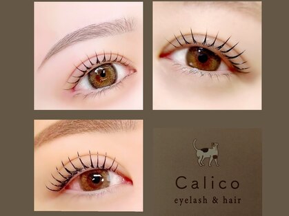 キャリコ(Calico)の写真