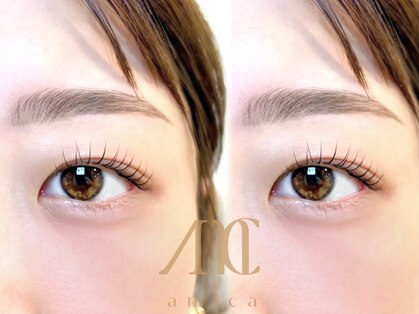 アミカ(amica)の写真