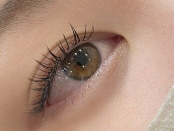 シピー(chipie by anon)/ATSUKO◆フラットラッシュ