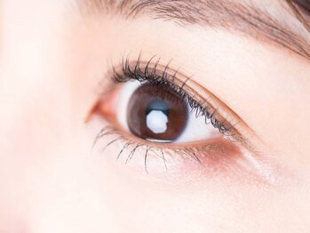 ルシード スタイル オルガ(LUCID STYLE Orga)/