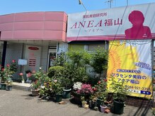 素肌美容研究所 アネア福山の雰囲気（フェイシャル、ボディ，脱毛。お気軽にご利用下さいませ。）