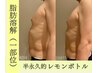 NEW★全身痩身90分×半永久脂肪分解《レモンボトル》　初回限定24000円