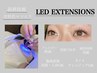 【持続力◎】LEDエクステ※説明用