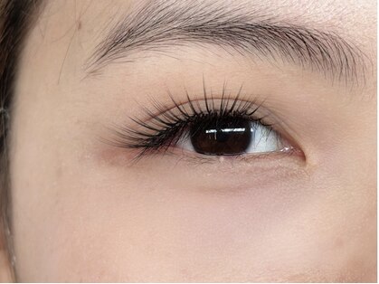 イーツゥーアイラッシュ(E2 eyelash)の写真