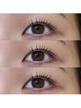 アーチ(arch)/まつ毛パーマ/ラッシュリフト