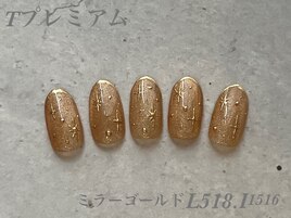 ハンド定額プレミアムコース