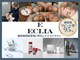 エクリア(ECLIA)の写真