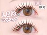 【LED】フラットラッシュ(オフ込)【100本】￥5,500