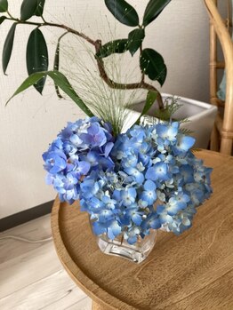 ミューシグ(Mysig)/紫陽花の季節ですね