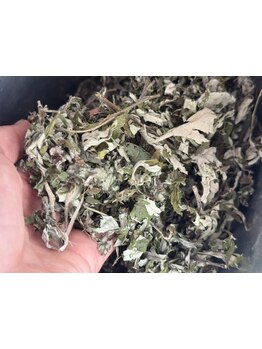 冷え改善・代謝をUPしたい