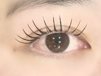 ローバー(ROVER)/