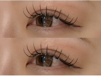 コノハ(KONOHA)/フラットラッシュ140本