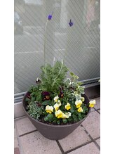 たちばな整骨院/店頭