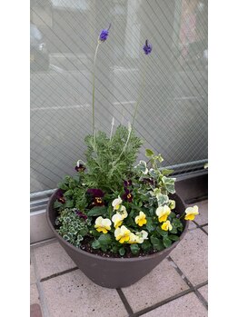 たちばな整骨院/店頭