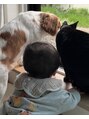ディセンシア(DE:SENCIA)&nbsp;いぬねこむすこです＾＾
