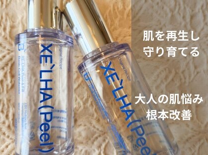 シェノン(Chainon)の写真