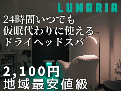 ルナ(Lunaria)の写真