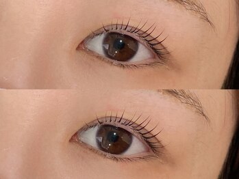 シピ ラメゾン 柏(Chipie La Maison)/ラッシュリフト/ナチュラル