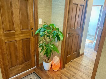 ドットカノア(.Kanoa)/店内写真3