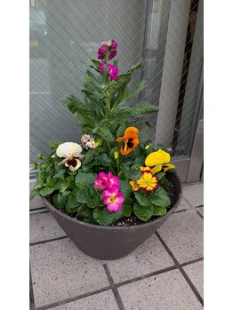 たちばな整骨院/店頭