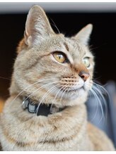 ストレングスジム&nbsp;みーちゃん 