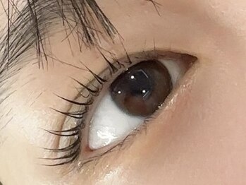 アラーナサロン 上野店(Arana salon)/ラッシュリフト/まつげパーマ上