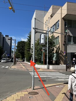 サッカ(札佳 sakka)/