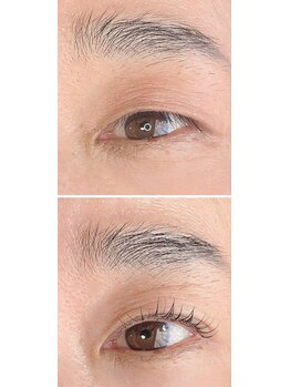 プローサム(Prorsum)/はじめての＾＾