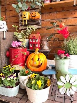 こじま 富雄団地接骨院/Happy Halloween