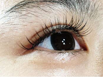 リベロ アイラッシュ(Libero Eyelash)/シングルラッシュ2