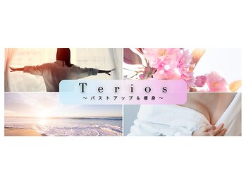 テリオス(Terios)