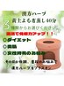 黄土よもぎ蒸し（４０）他メニューとの併用の方のみ。