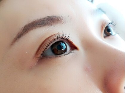 ビケット(Bikett.)の写真
