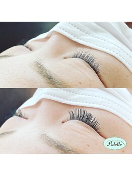 パレット(Palette)/フラットマットラッシュ 太さ0.2