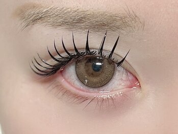 リリー(Lily)の写真/[シングルラッシュ¥4950~/バインドロック¥6600~]シングル/バインドもフラットラッシュで長期間綺麗な目元☆