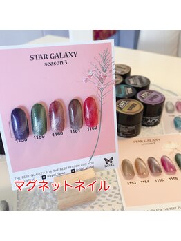 リッチネイル(Rich Nail)/マグネットネイル#3