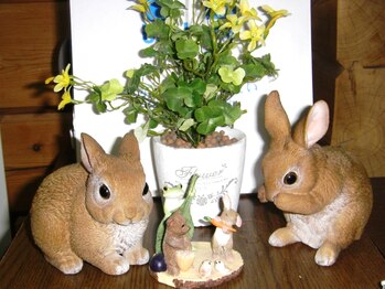 自然派カイロ整体院/うさぎとカエル♪