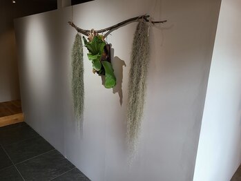 虹(Niji)/◆店内の様子