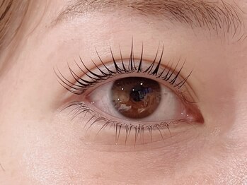 ブリッジバイネオリーブ 綱島店(bridge by neolive)/パリジェンヌラッシュリフト上下