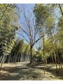 キコ リラクゼーションサロン(KICO by PLUS)&nbsp;竹林や滝、川や山よく行きますおすすめの場所教えて下さい！