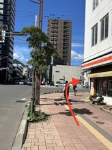 サッカ(札佳 sakka)/