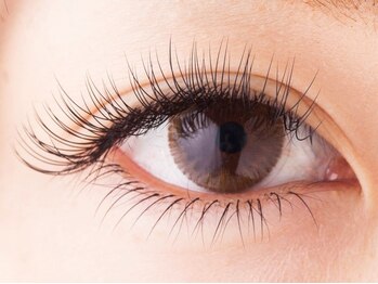 アイラッシュサロンティアラ/下まつげでよりパッチリに☆