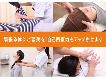 大川カイロプラクティックセンター いけがみ整体院