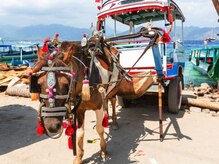 アジアンリラクゼーション ヴィラ 大橋店(asian relaxation villa)/馬車と自転車だけが走るギリ3島