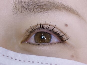 ネリネ(Nerine)/パリジェンヌラッシュリフト