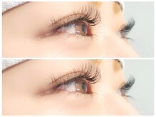 アトリエクレフ/クローバー4D　120束