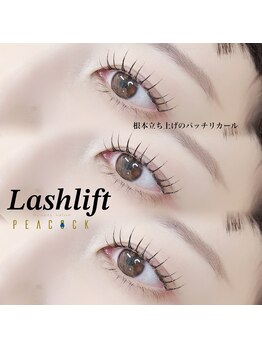 ピーコック(peacock)/まつ毛パーマ/根本立ち上げ