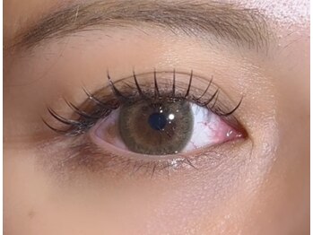 アルヴィー(ARVIE)/LEDフラットラッシュ120本